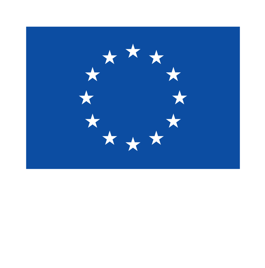 Co-funded by European Union