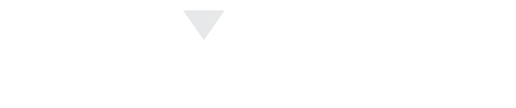 Dexpiry Logo